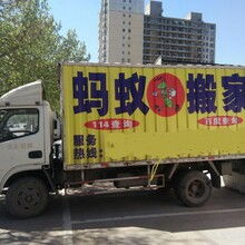 專業、高效、省心——邯鄲市邯山區螞蟻搬家渚河路服務部，您的理想搬家伙伴